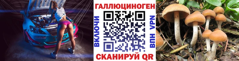 OMG ССЫЛКА  Лосино-Петровский  Галлюциногенные грибы Magic Shrooms 